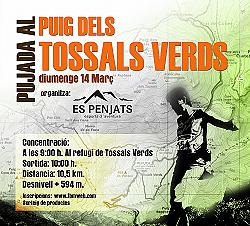 VI Pujada al Puig dels Tossals Verds 2010