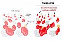 Talasemia y deporte, ¿es compatible?